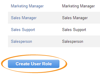 Click [New User Role]